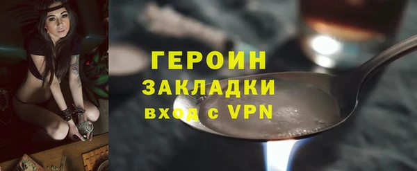 стаф Тайга