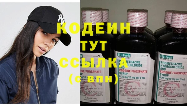 ГАЛЛЮЦИНОГЕННЫЕ ГРИБЫ Тавда